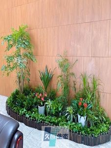 安吉企业大厅绿植组合摆放